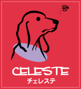 コーチングガーデン チェレステ CELESTE