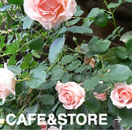 CAFE&STORE