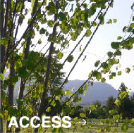 ACCESS