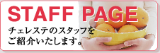 �`�F���X�e�̃X�^�b�t�����Љ�����܂��B