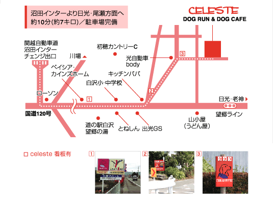 アクセスマップ