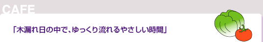 木漏れ日の中で、ゆっくり流れるやさしい時間
