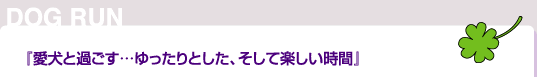 愛犬と過ごす…ゆったりとした、そして楽しい時間